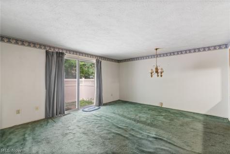 3913 Lake Run Boulevard Stow OH 44224