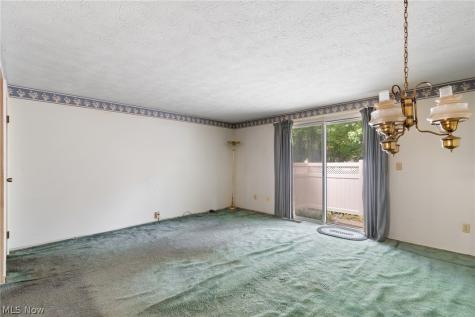 3913 Lake Run Boulevard Stow OH 44224