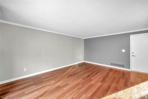15659 Bittersweet Court Strongsville OH 44136