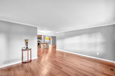 15659 Bittersweet Court Strongsville OH 44136