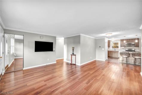 15659 Bittersweet Court Strongsville OH 44136