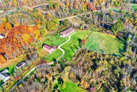 13366 Butternut Road Burton OH 44021