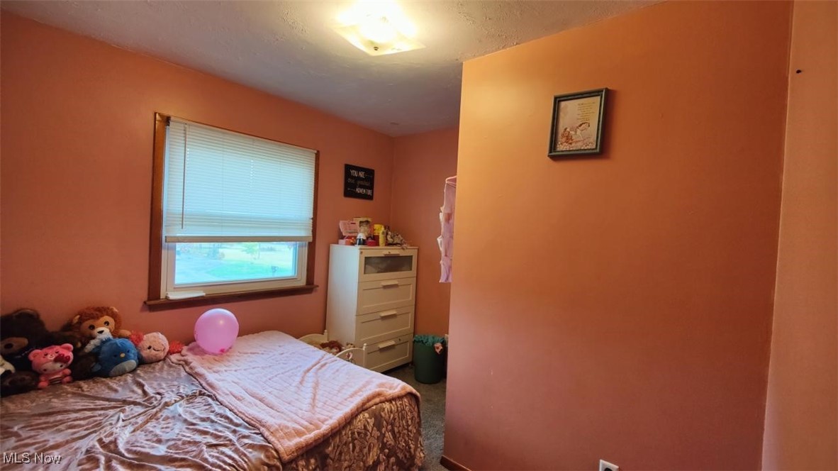 3603 Silvieus Drive Ashtabula OH 44004