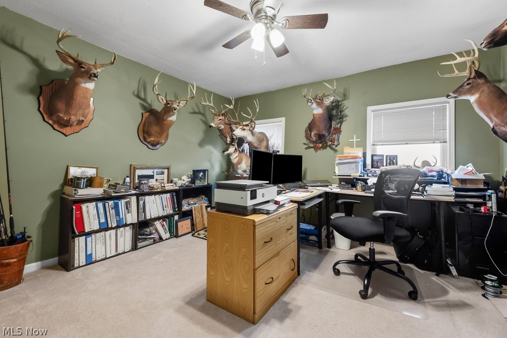 6686 Mahoning Avenue NE Alliance OH 44601