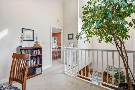 3801 Bridge Avenue Cleveland OH 44113