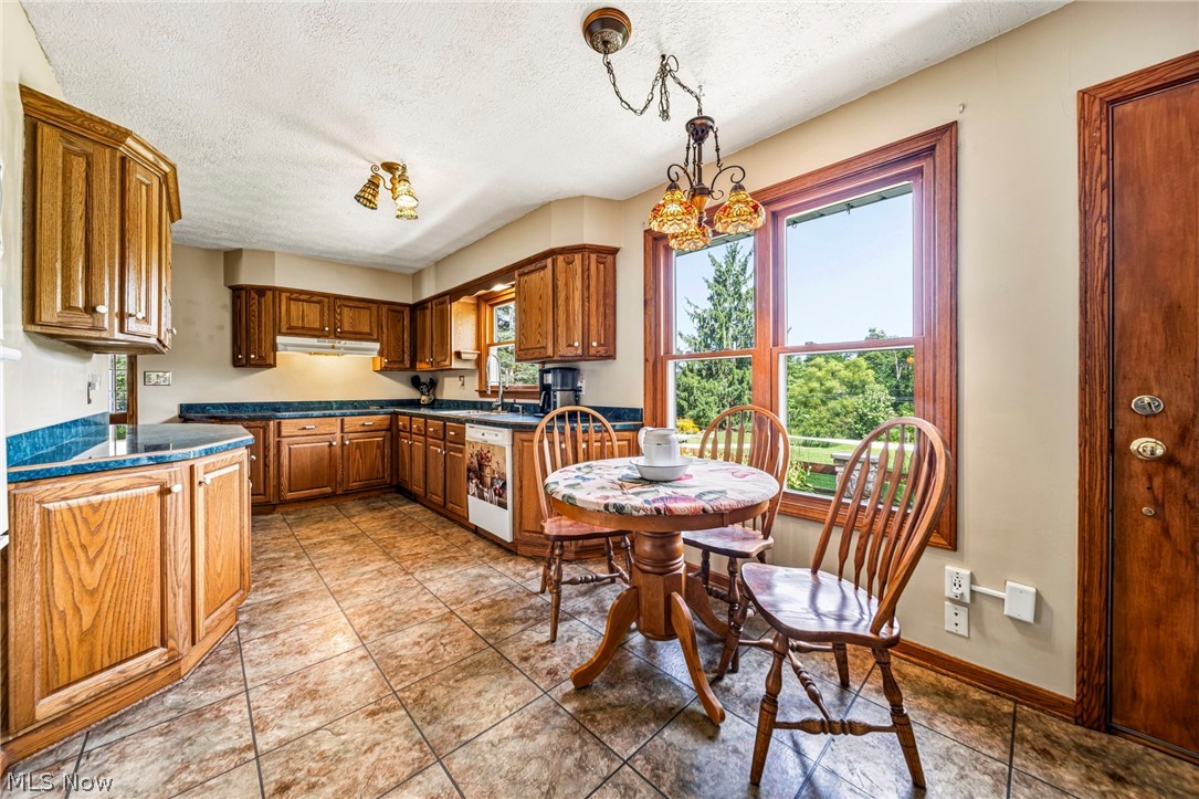 219 W Mennonite Road Aurora OH 44202