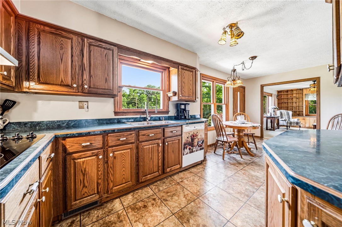 219 W Mennonite Road Aurora OH 44202