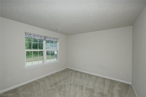 8728 Mavis Trail Streetsboro OH 44241