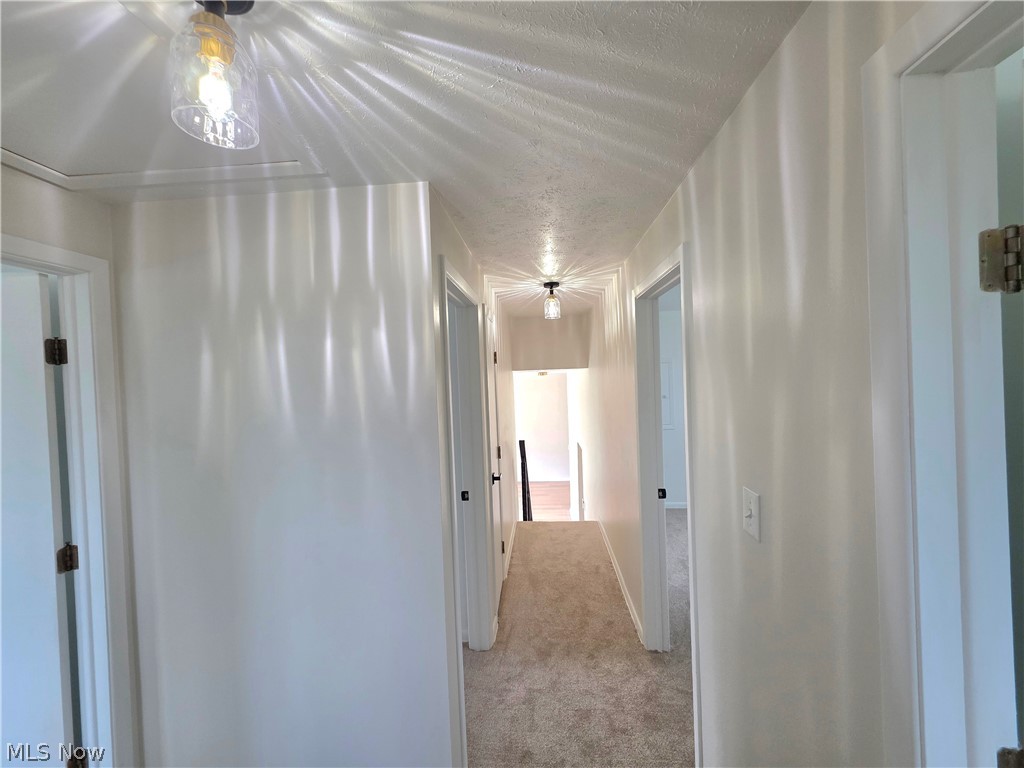 3181 Parmalee Drive Seven Hills OH 44131