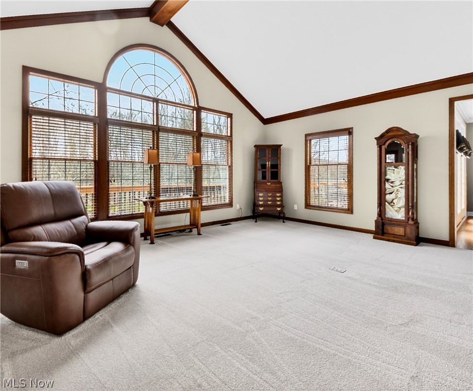 4530 Swan Lake Drive Copley OH 44321