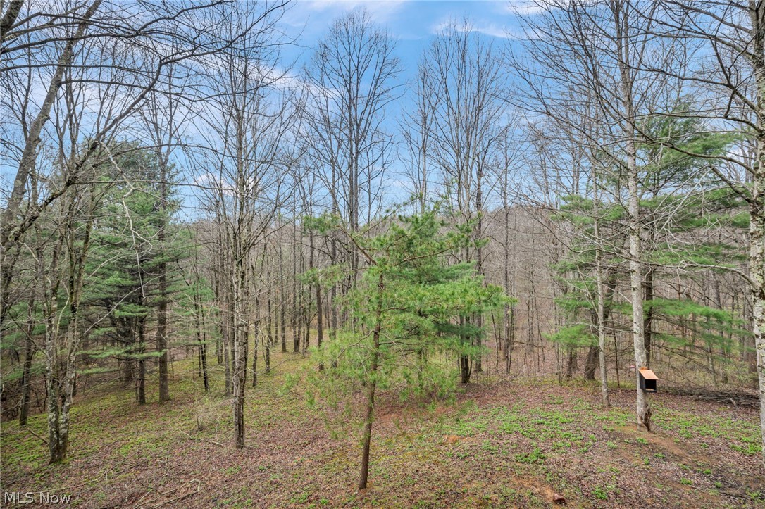 40721 Township Road 467 Sardis OH 43946