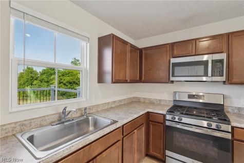 248 Captain Trail Seville OH 44273