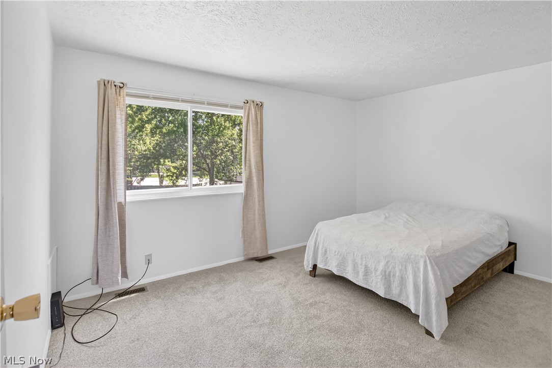 3234 Fillmore Drive Brunswick OH 44212