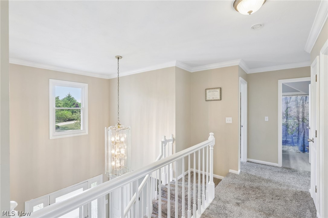 4922 Princeton Drive North Royalton OH 44133