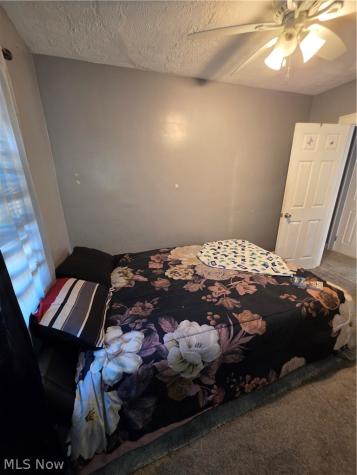 3396 W 94th Street Cleveland OH 44102
