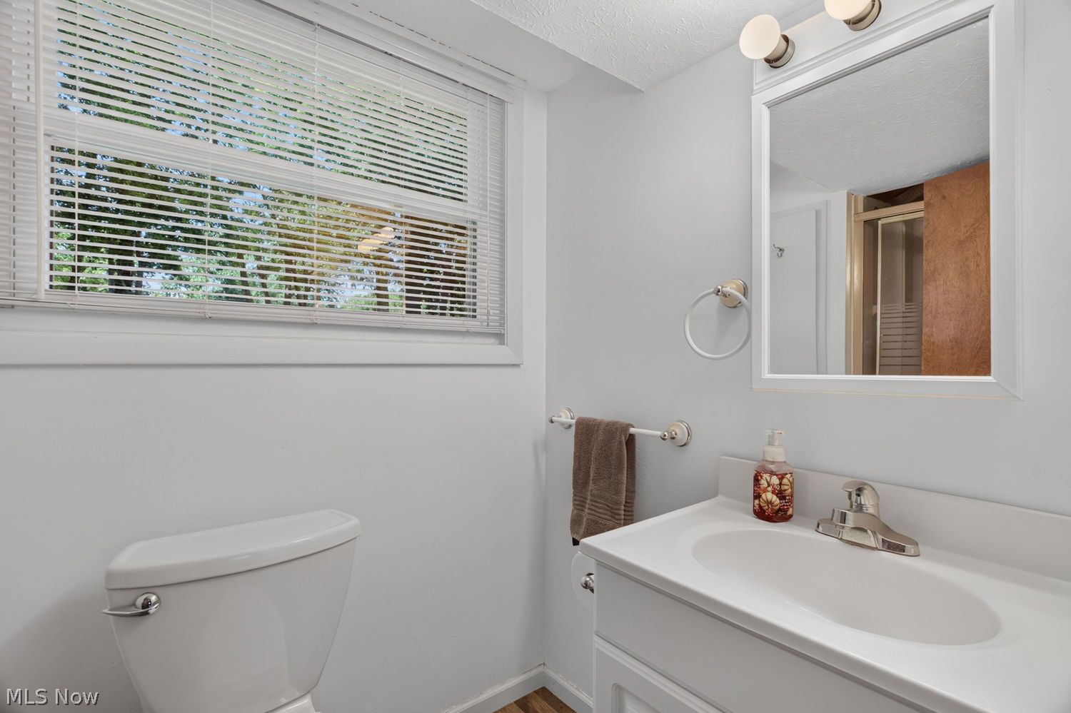 4958 Mapleview Drive Vermilion OH 44089