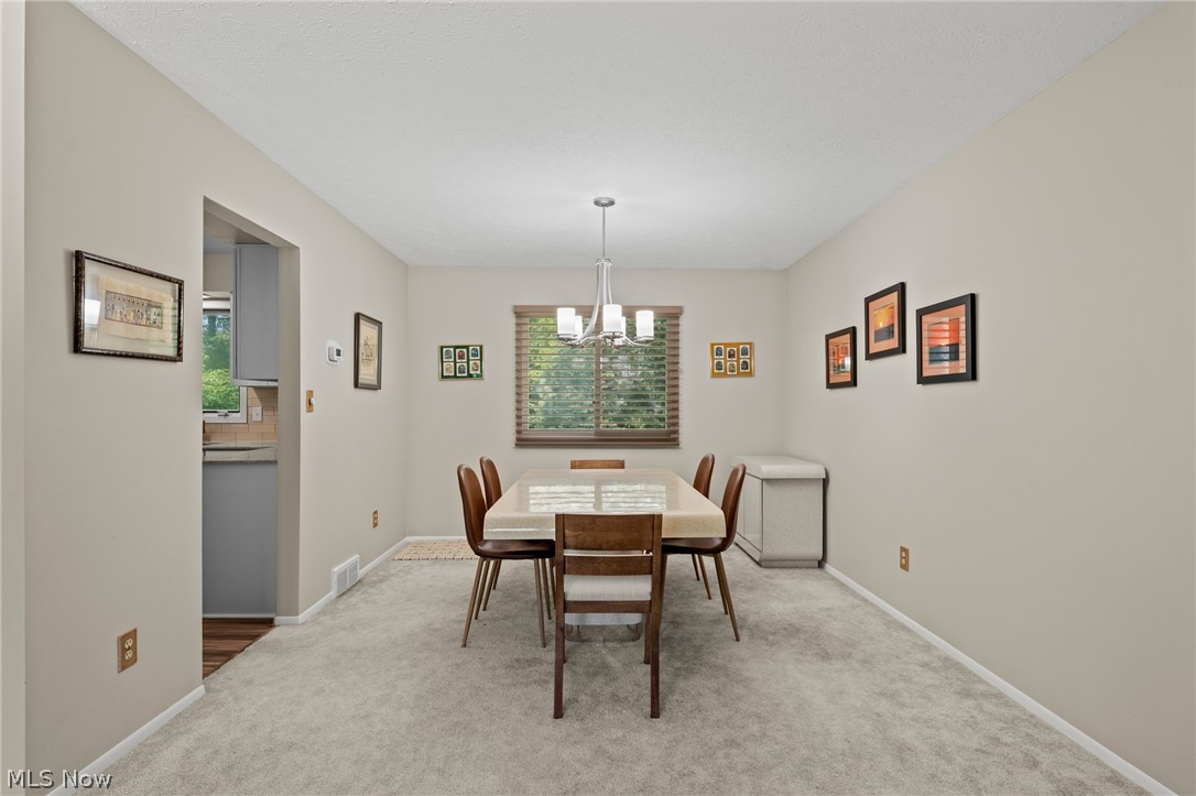 31885 N Roundhead Drive Solon OH 44139