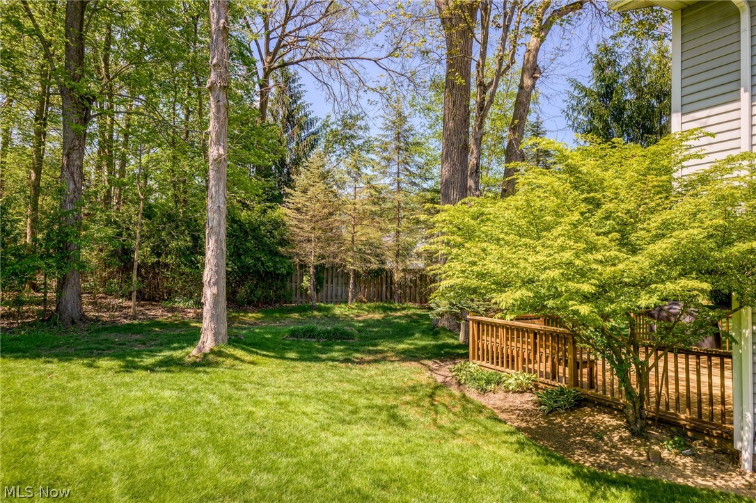 31885 N Roundhead Drive Solon OH 44139