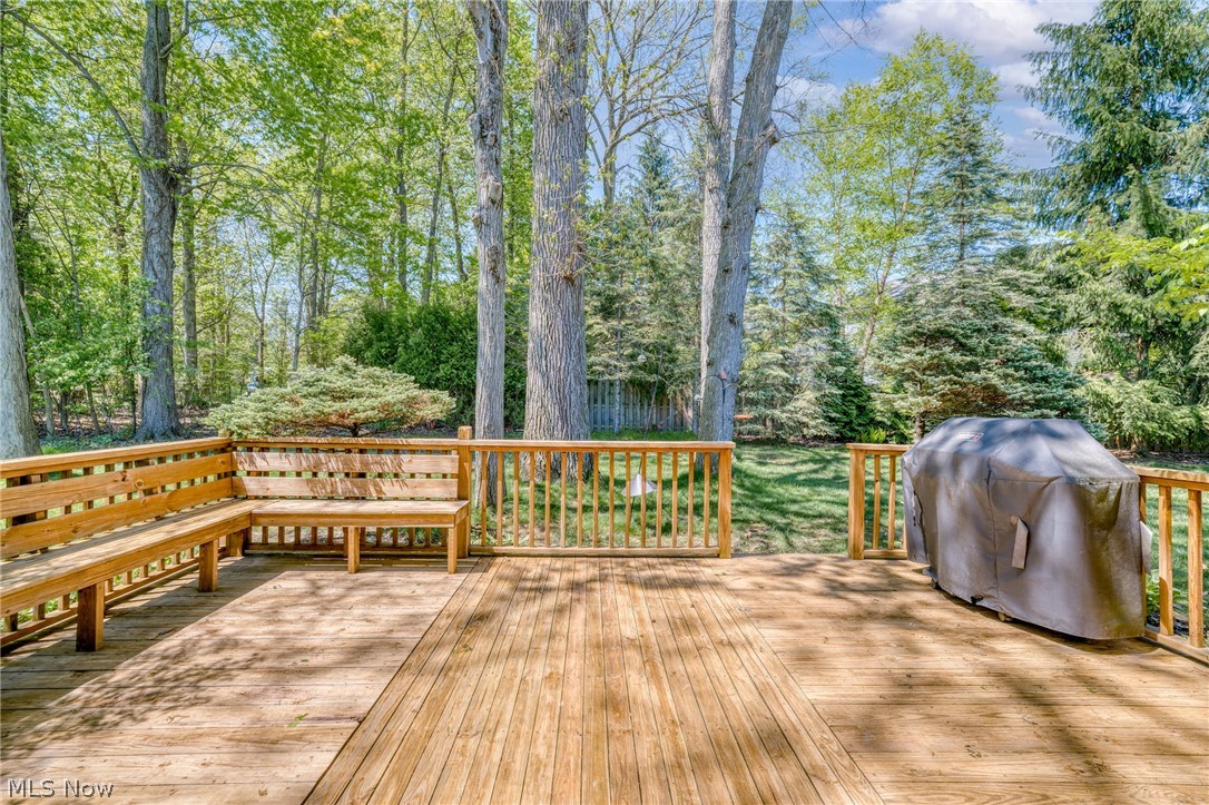 31885 N Roundhead Drive Solon OH 44139
