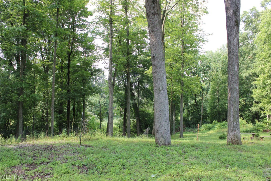 13893 County Road 100 Lakeville OH 44638