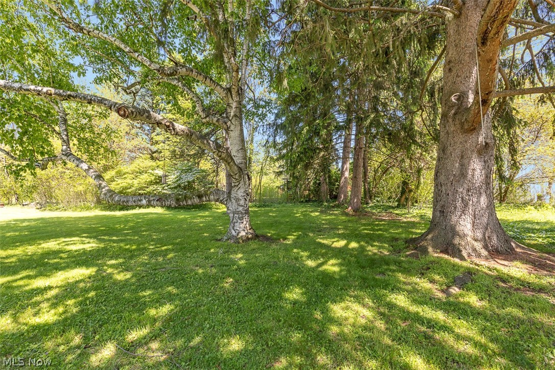 133 Crownhill Avenue Amherst OH 44001