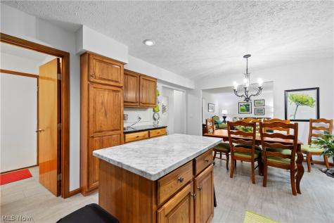 7012 Morning Dove Lane Olmsted Twp OH 44138
