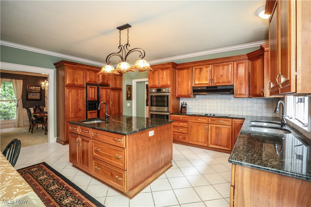 831 Meadowbrook Drive Aurora OH 44202