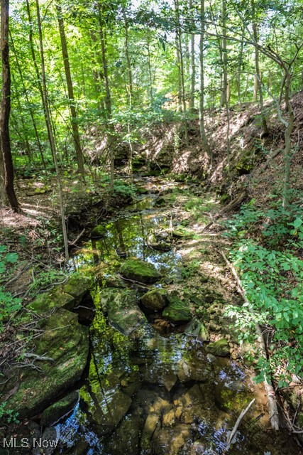 831 Meadowbrook Drive Aurora OH 44202