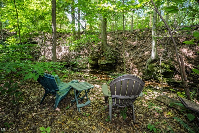 831 Meadowbrook Drive Aurora OH 44202