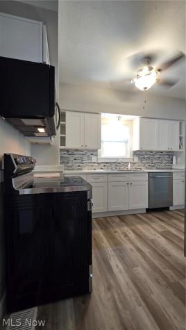 1650 Elbur Avenue Lakewood OH 44107