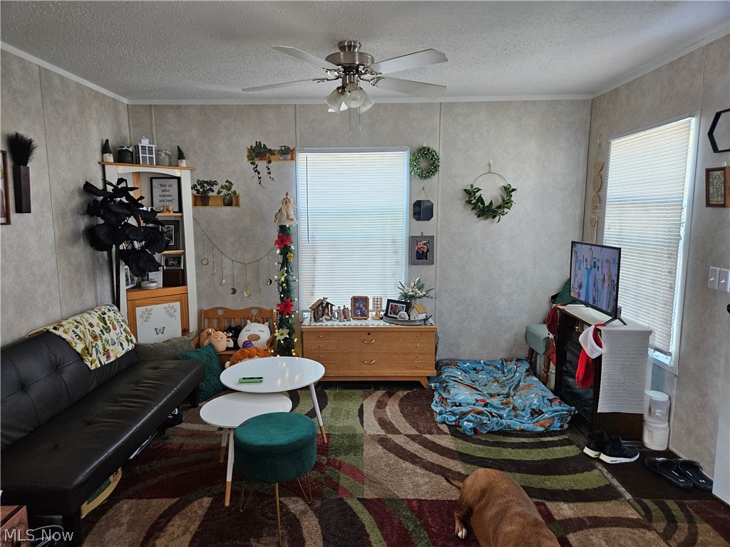 81 Hyland Drive Akron OH 44312