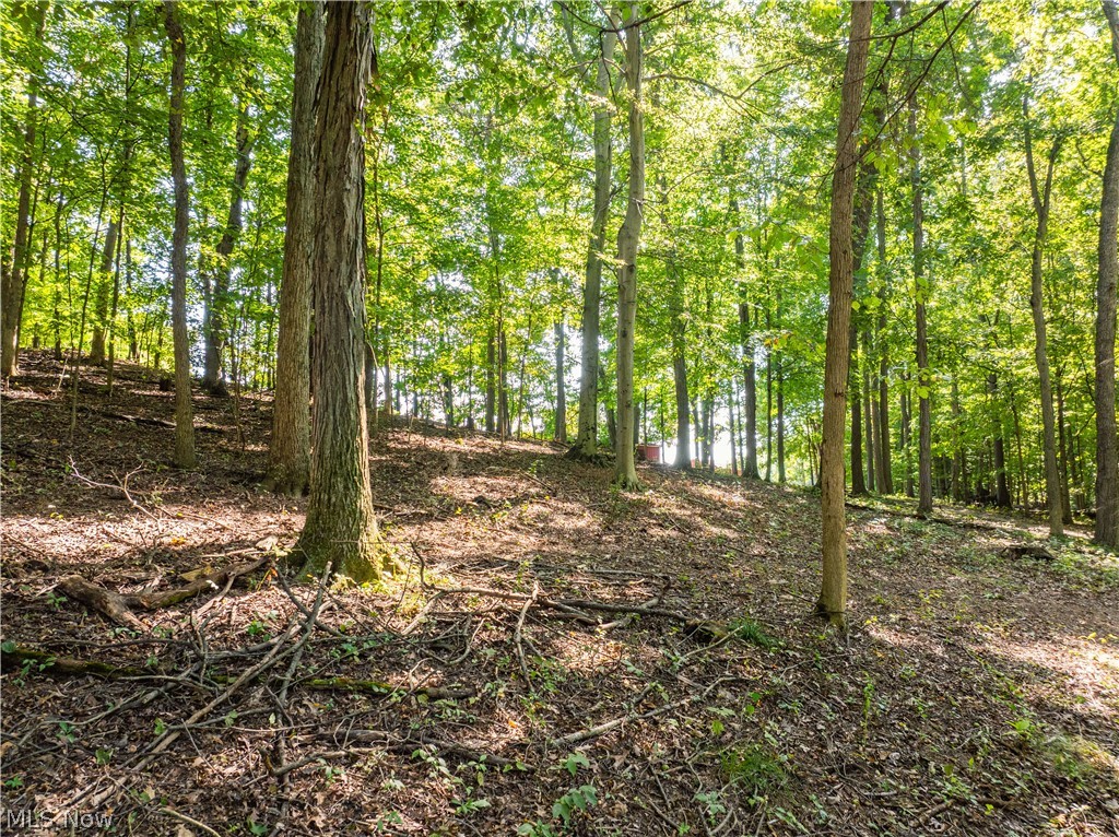 29556 Township Road 209 Coshocton OH 43812