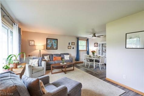 8223 Wesley Drive Strongsville OH 44136