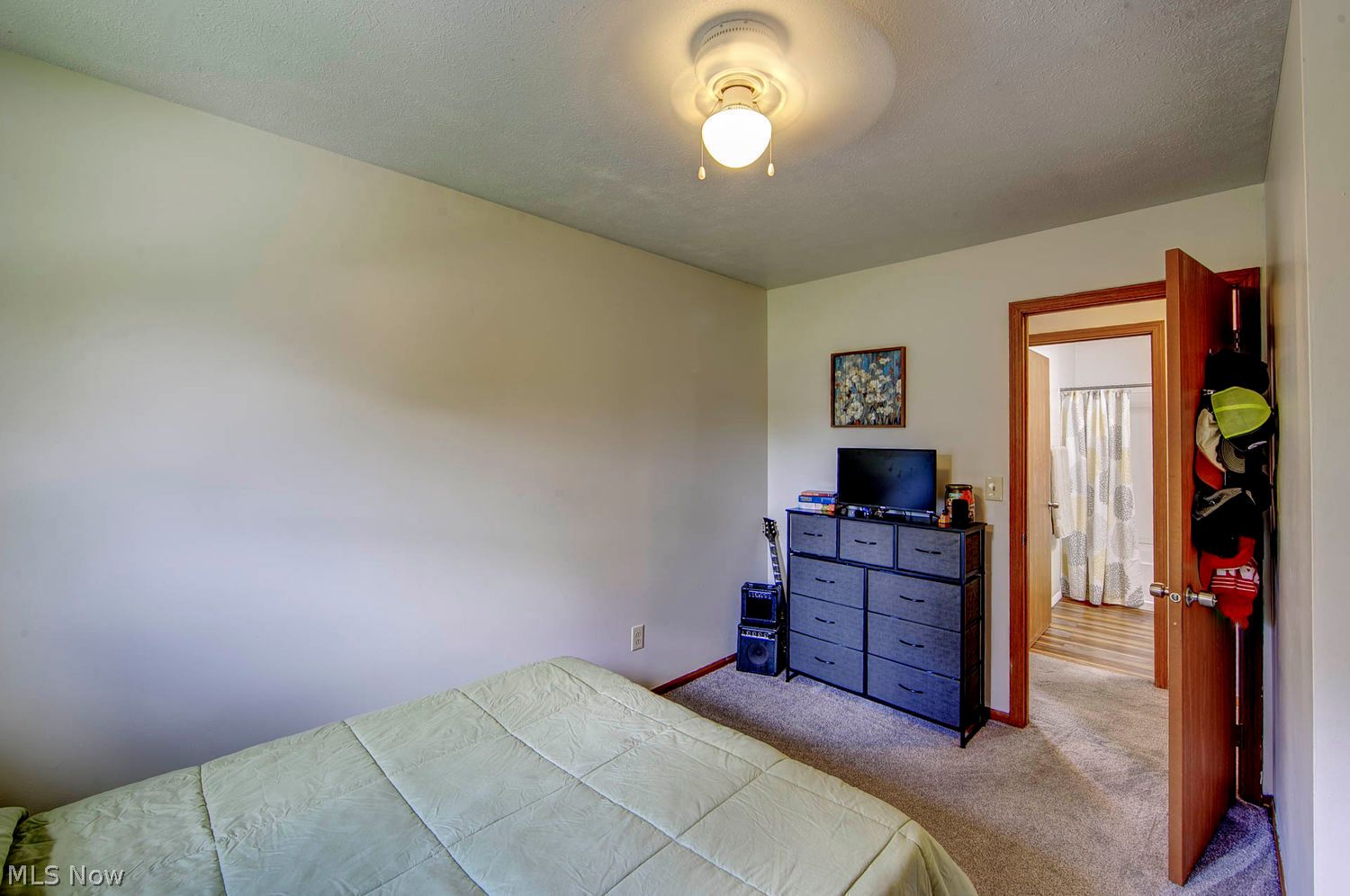 7350 Gilbert Street Chippewa Lake OH 44215