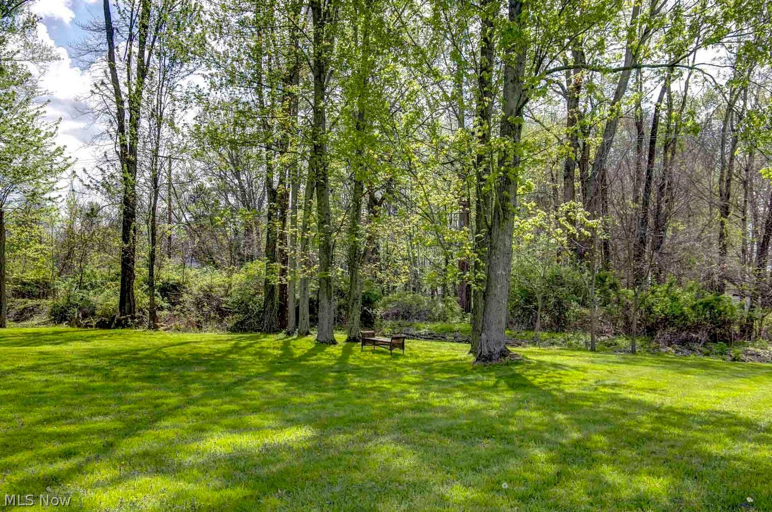 7350 Gilbert Street Chippewa Lake OH 44215