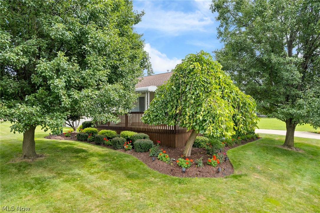 543 Edith Avenue Akron OH 44312