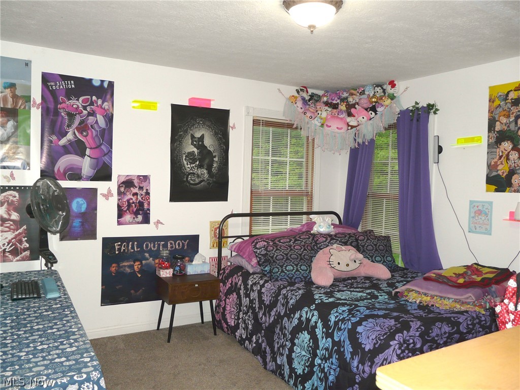 4777 Waterloo Road Atwater OH 44201