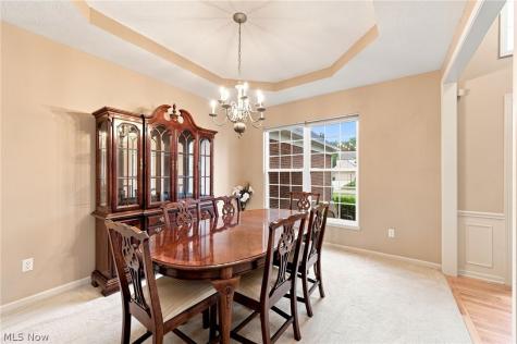 465 Wilmington Drive Broadview Heights OH 44147