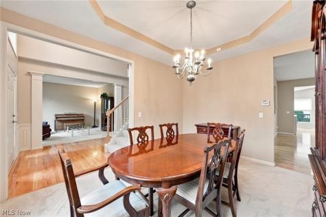 465 Wilmington Drive Broadview Heights OH 44147