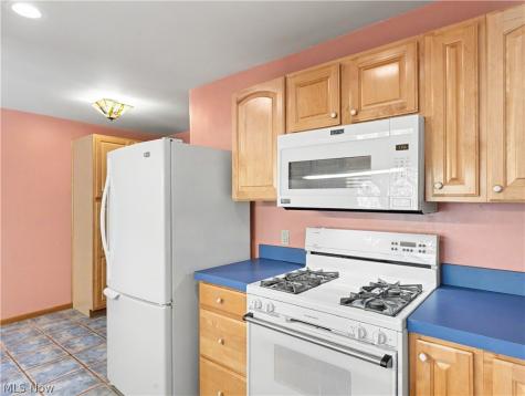 1726 Orchard Drive Akron OH 44333