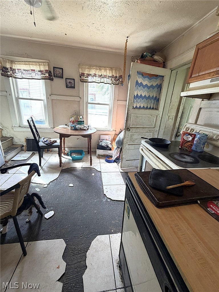 2150 W 81st Street Cleveland OH 44102
