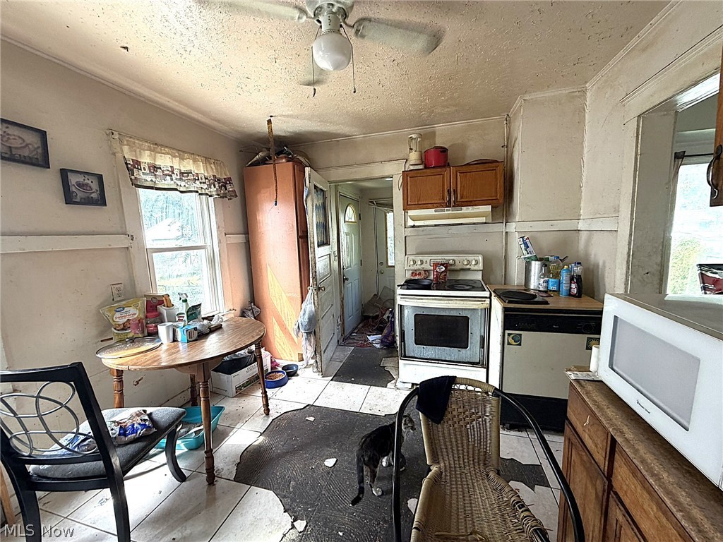 2150 W 81st Street Cleveland OH 44102