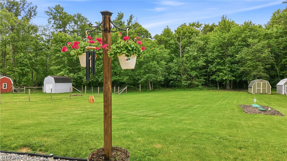 10230 New Buffalo Road Canfield OH 44406