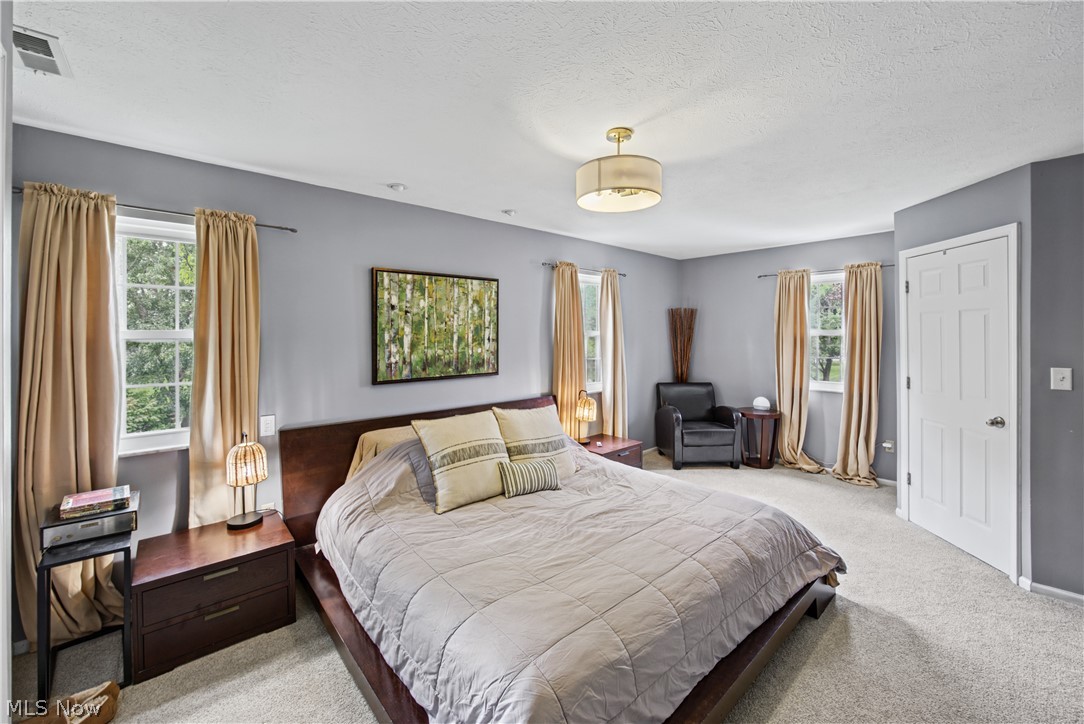 163 Sunset Drive Hudson OH 44236