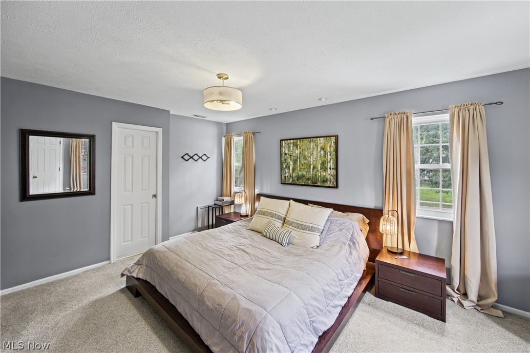 163 Sunset Drive Hudson OH 44236