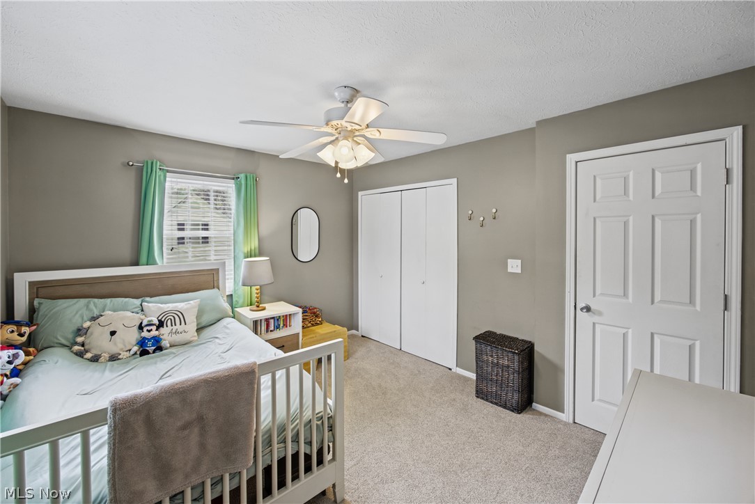 163 Sunset Drive Hudson OH 44236