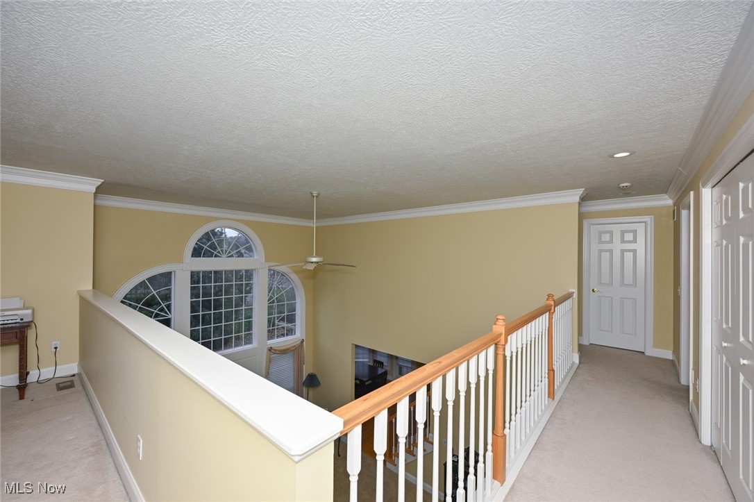 5957 Century Street NW Canton OH 44718