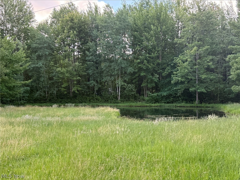 2720 Black Sea Road Jefferson OH 44047