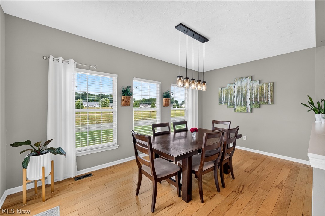37502 Tail Feather Drive North Ridgeville OH 44039