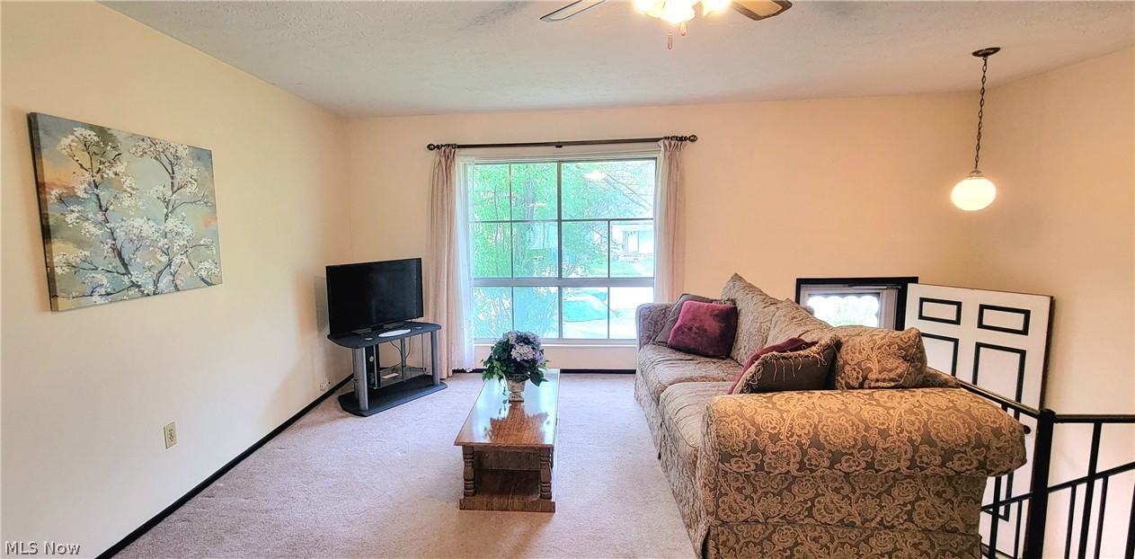 137 Stage Avenue Painesville OH 44077
